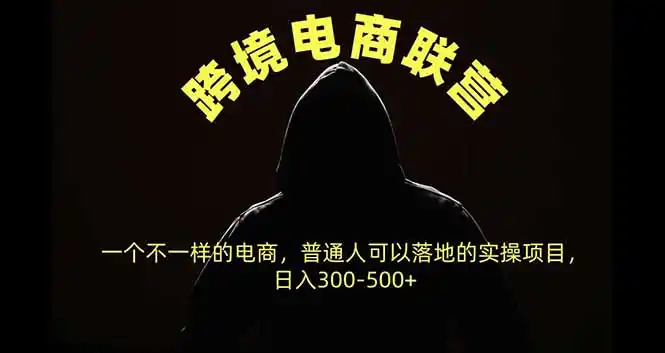 跨境电商联营,一个不一样的电商,普通人可操作日入300-500+-资源联盟
