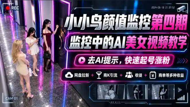 小小鸟颜值监控第四期，监控中的AI美女视频教学，去AI提示，快速起号涨粉，网盘拉新+商K引流+收徒+商单等多种收益-资源联盟
