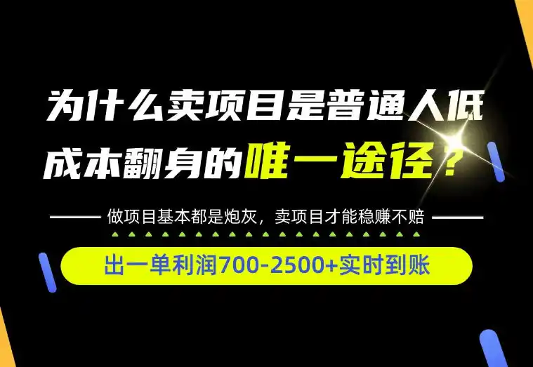 普通人如何靠互联网賺取自己的第一桶金！全类目实操型教学，看完你全都懂了！【揭秘】-资源联盟